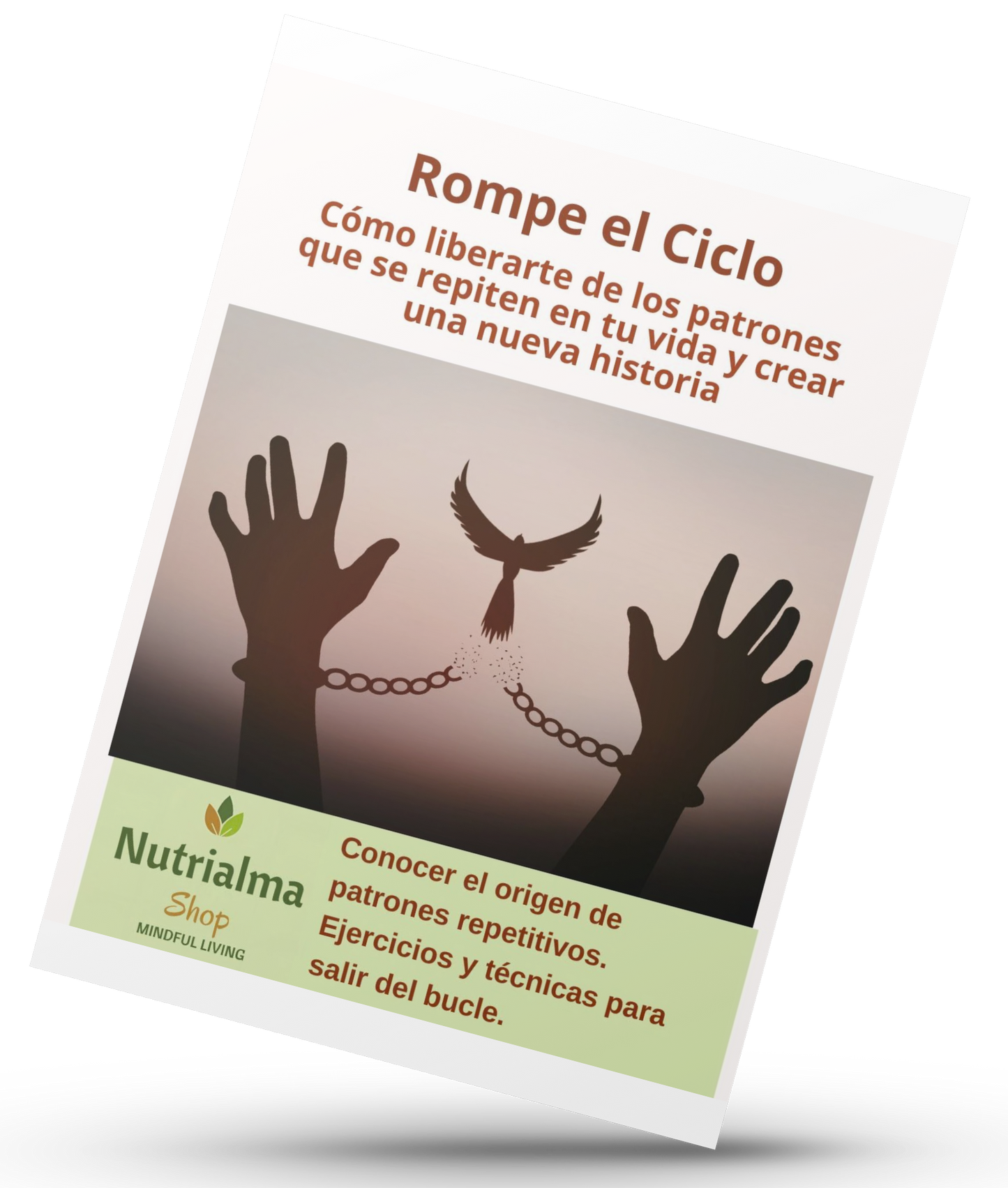 Rompe el Ciclo: Cómo liberarte de los patrones que se repiten en tu vida y crear una nueva historia